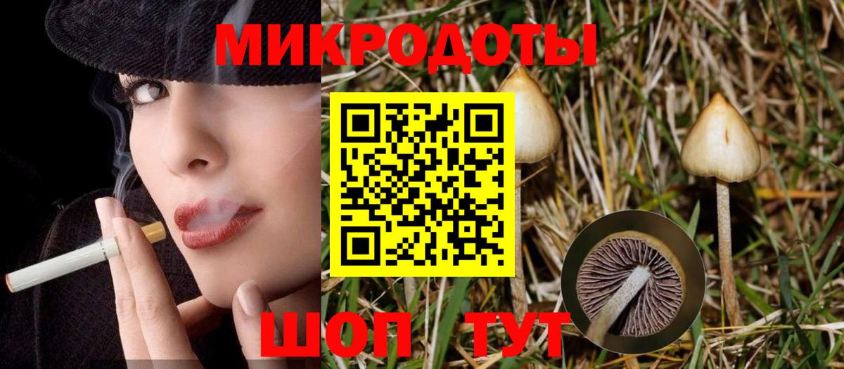 Галлюциногенные грибы GOLDEN TEACHER  Вход с VPN  где можно купить   Будённовск  Галлюциногенные грибы Psilocybe 