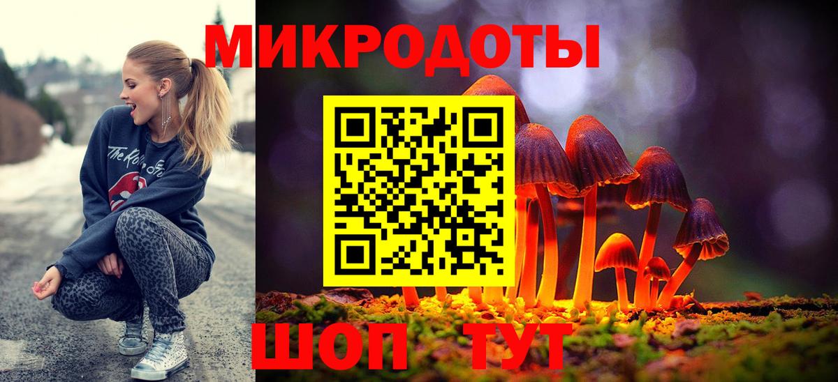 Галлюциногенные грибы Psilocybine cubensis Будённовск