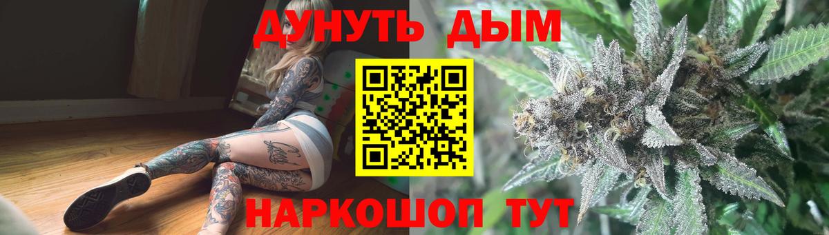 Марихуана сатива Будённовск